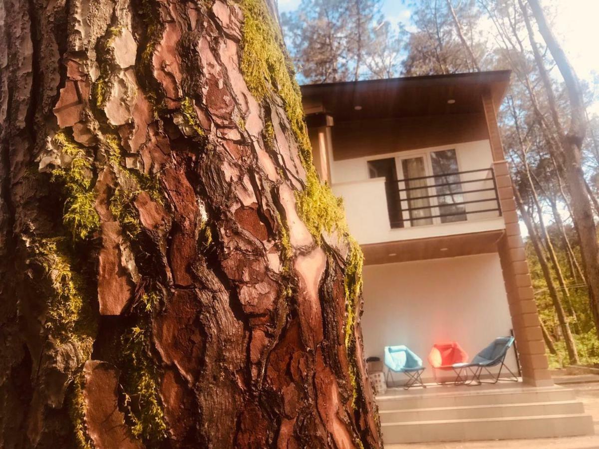 Vip Sweet Home In Shekvetili Exterior foto